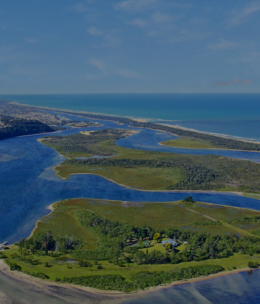 How to Plan a Market & Theatre Night: A Vibrant Community Experience