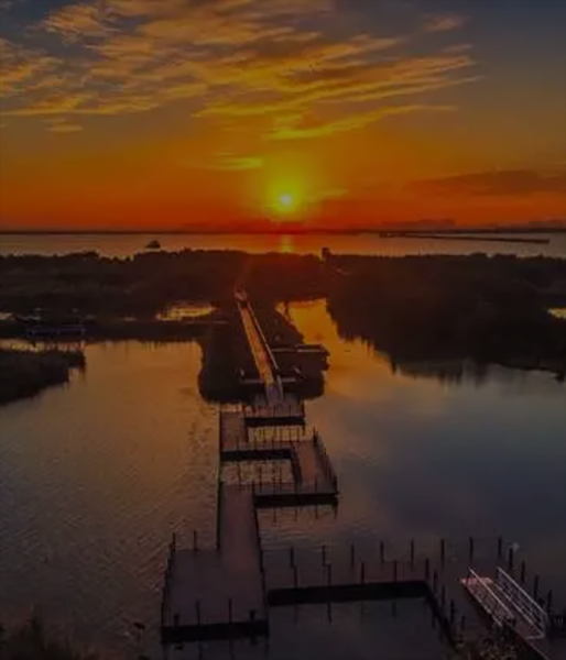 How to Find Vendors That Accept Mobile Payment: A Modern Shopper’s Guide