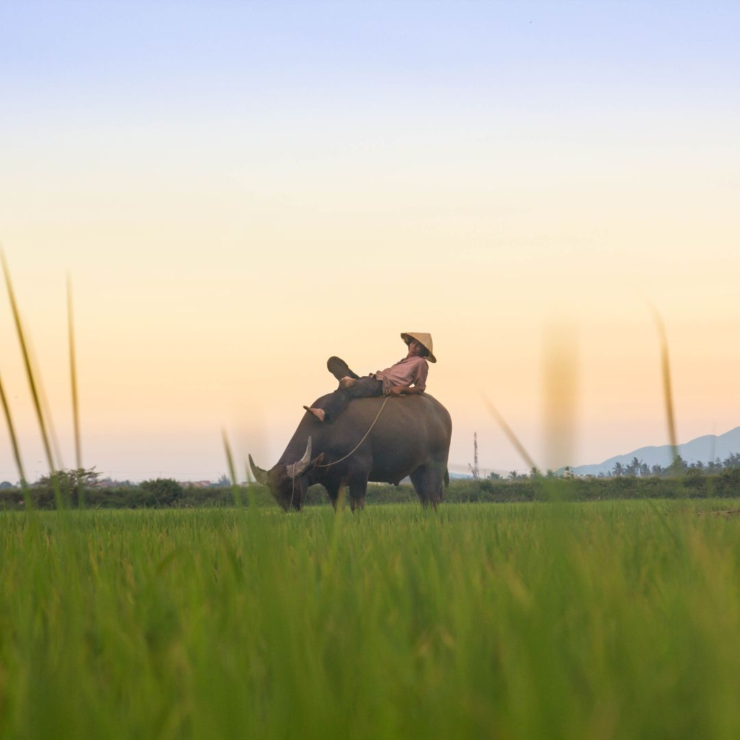 Discovering the Magic: Top Family Attractions Around Harbin