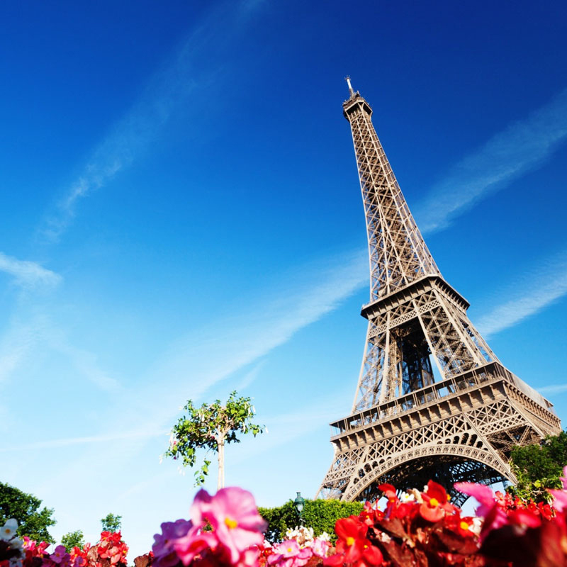 Top Places for Local Grilled Vegetable Stalls: A Flavorful Journey Through Street Food Culture