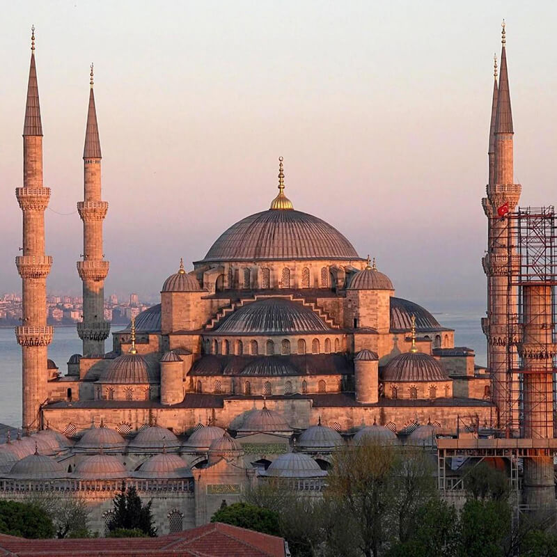 The Best Markets for Fresh Fruit Tasting: A Journey Through Flavor, Color, and Culture