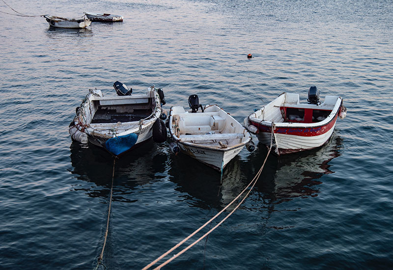 How to Plan a Market & Garden Walk: A Joyful Journey Through Local Flavor and Green Spaces