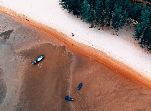 How to Find Authentic Local Food in Huangshan: A Culinary Journey Through the Heart of Anhui