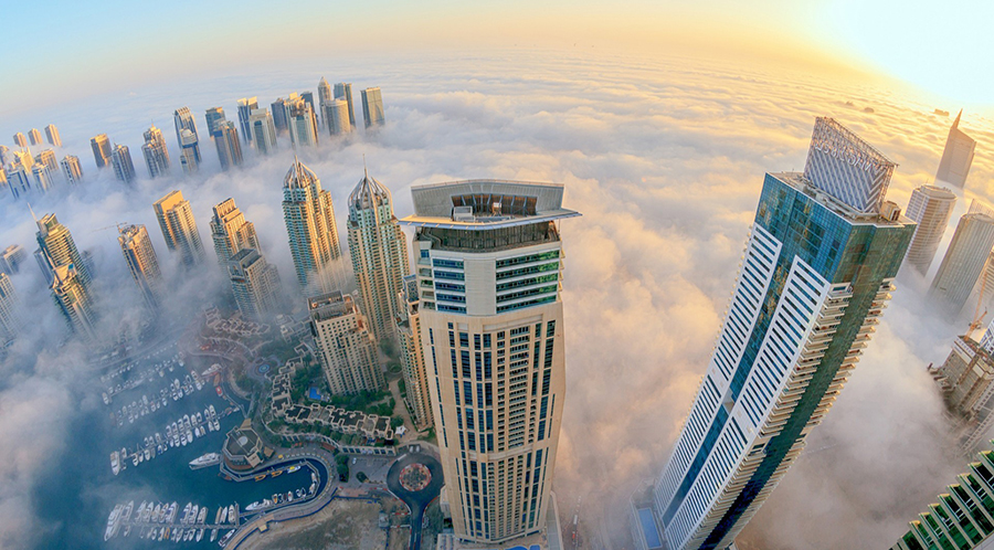 Best Markets for Fresh Seafood Plazas: A Global Culinary Journey